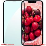 گلس 12 پرو مکس آیفون